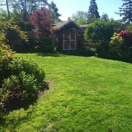 Landscaping project photo