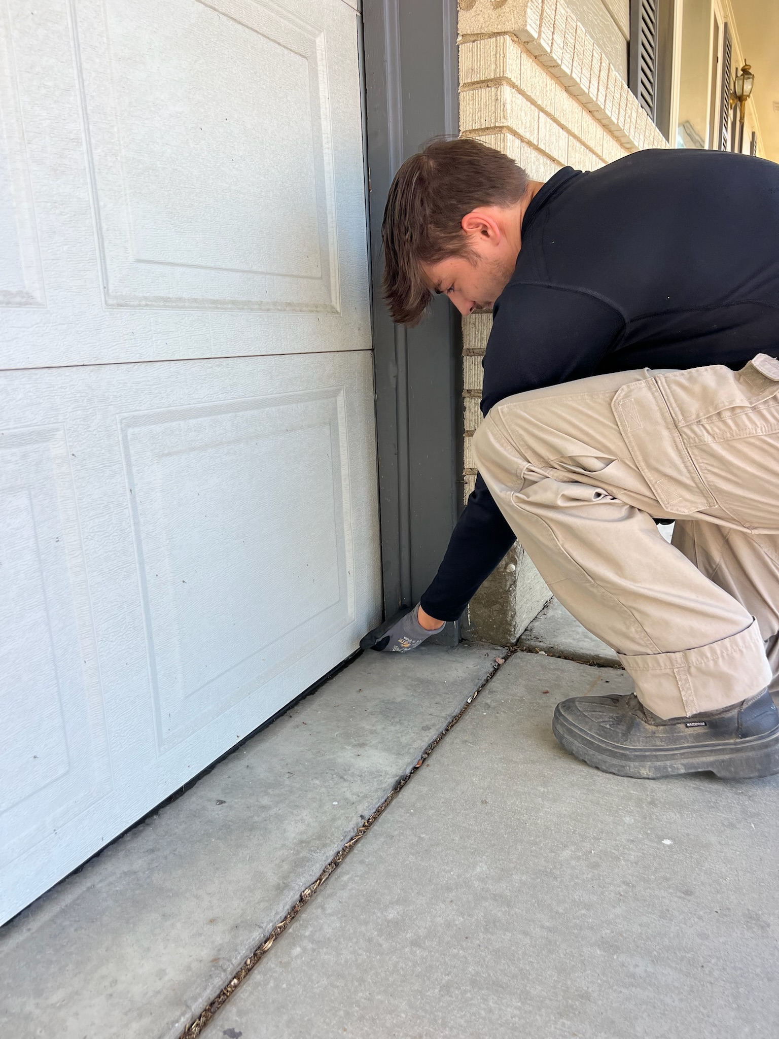 Rodent Control (Rats & Mice)