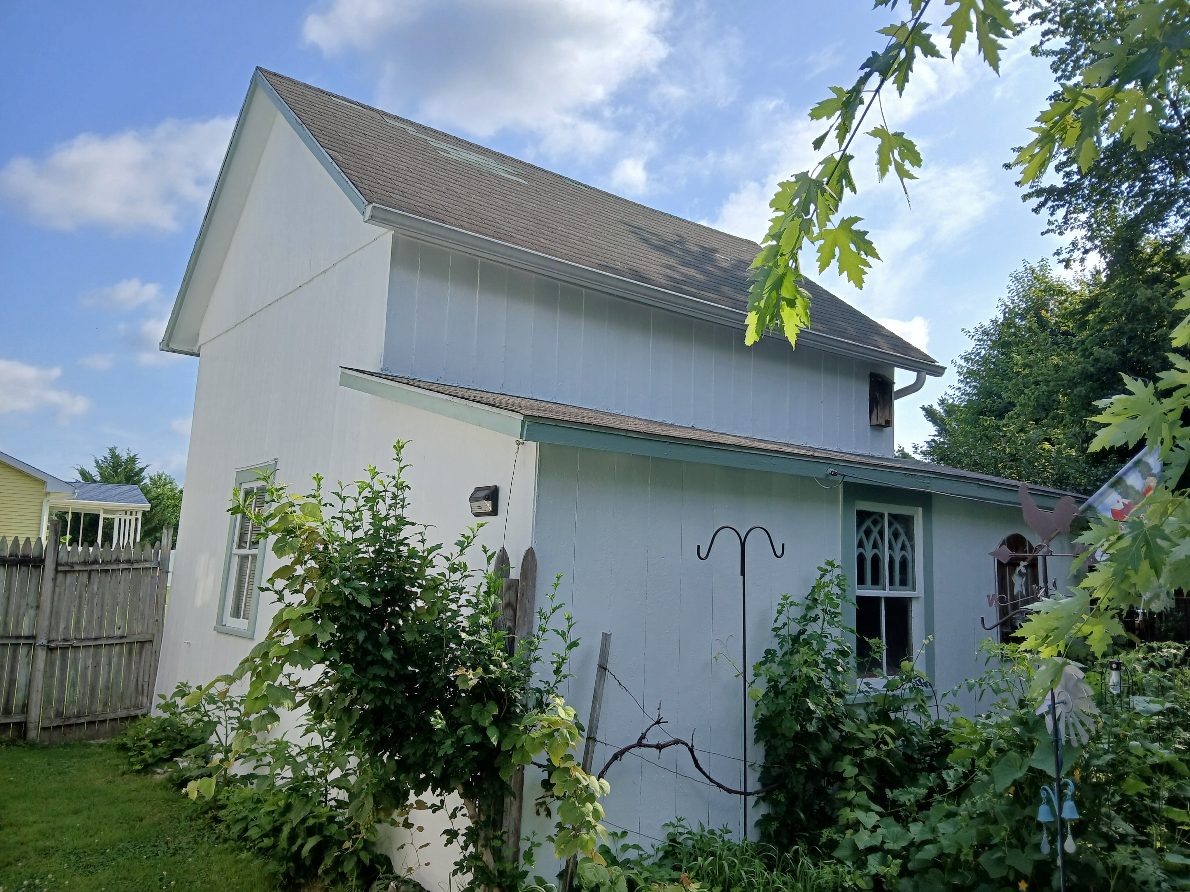 Image 15