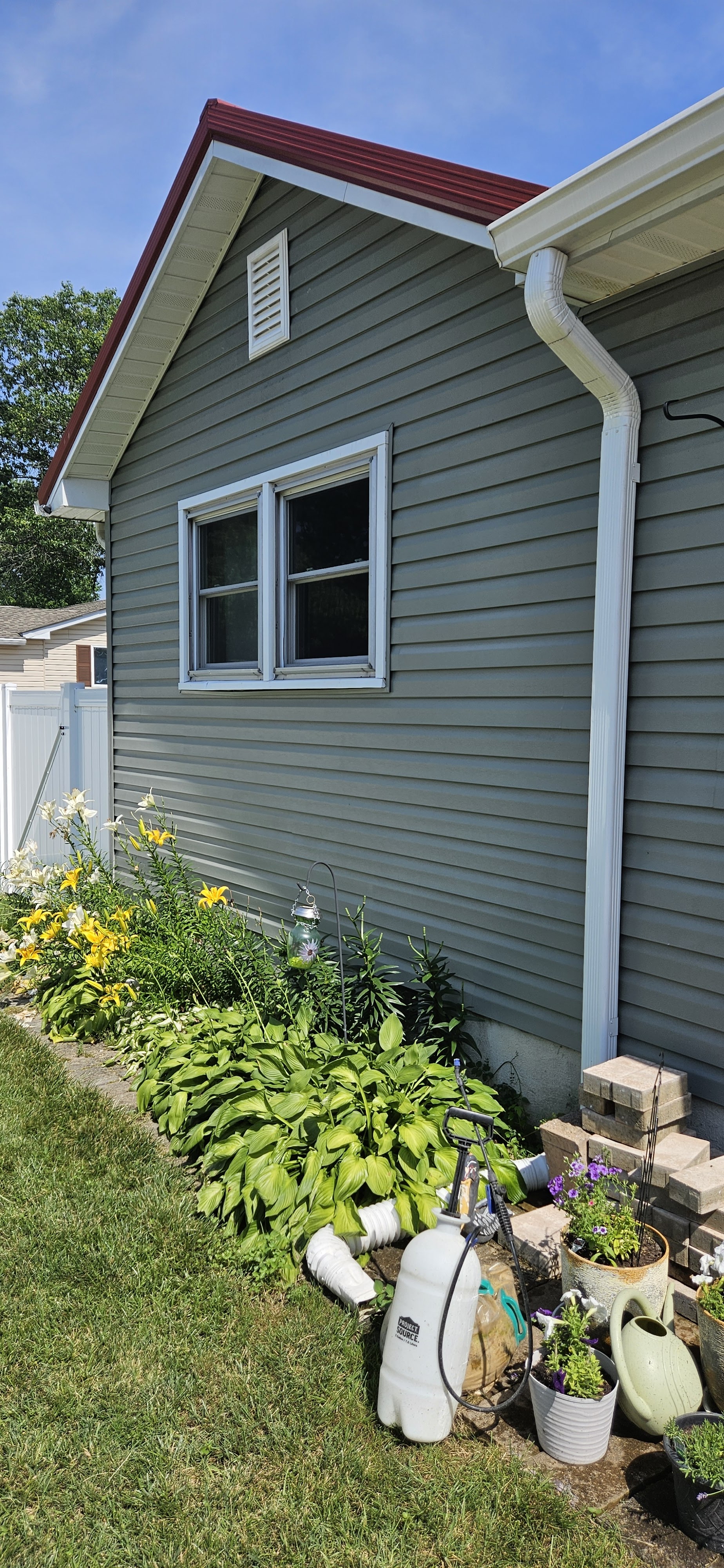 Image 12