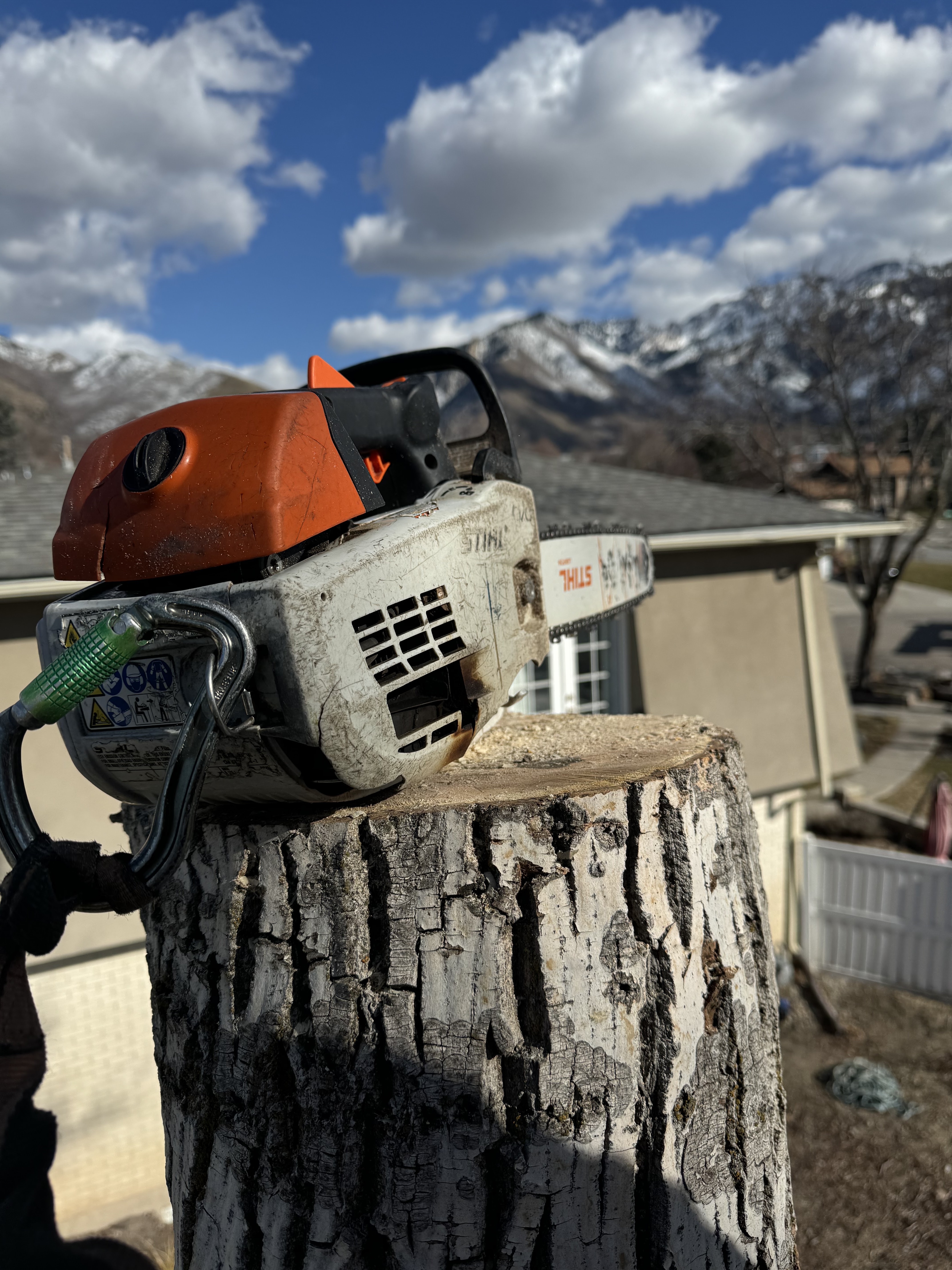 Stump Grinding