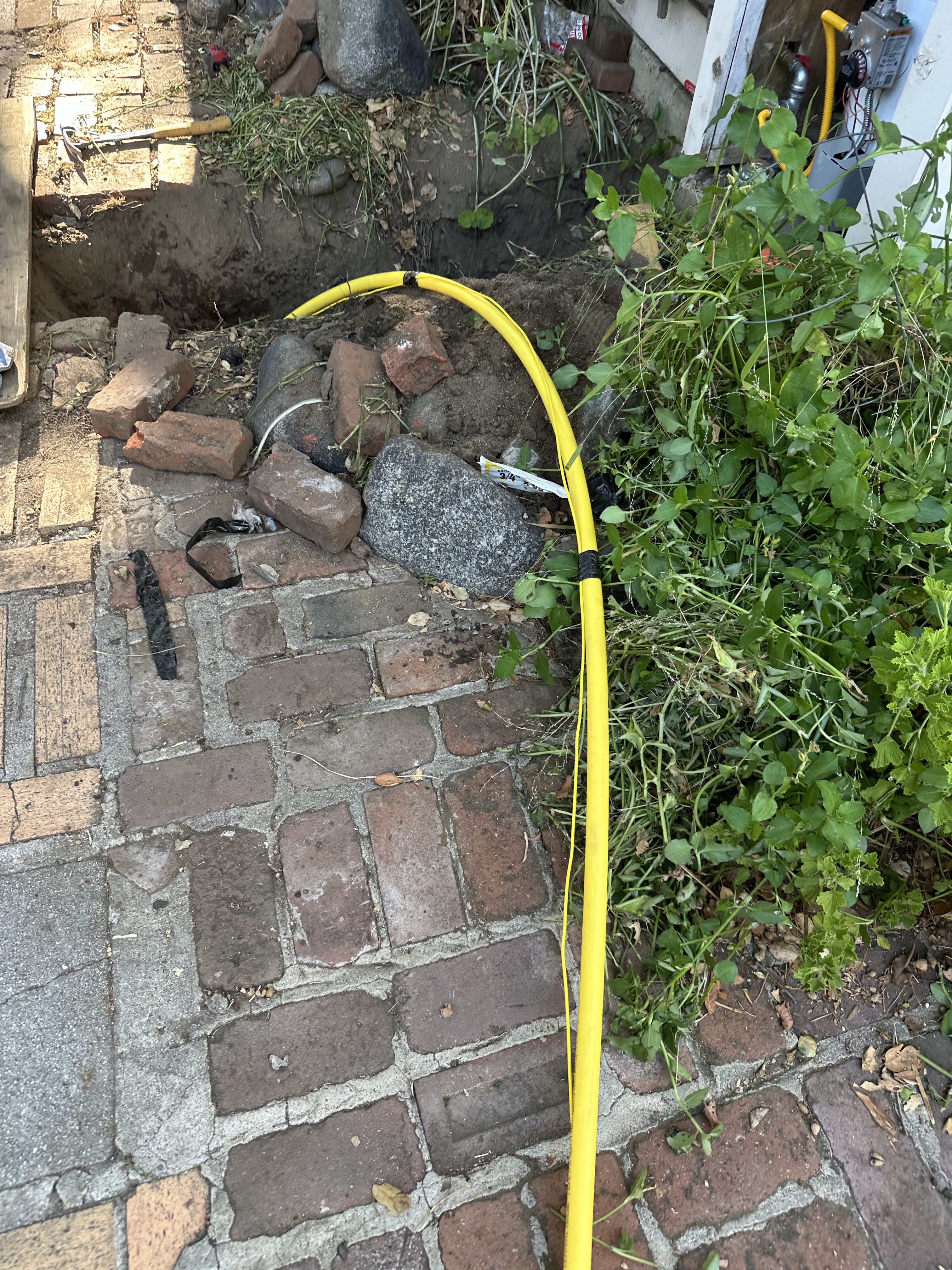 Image 12