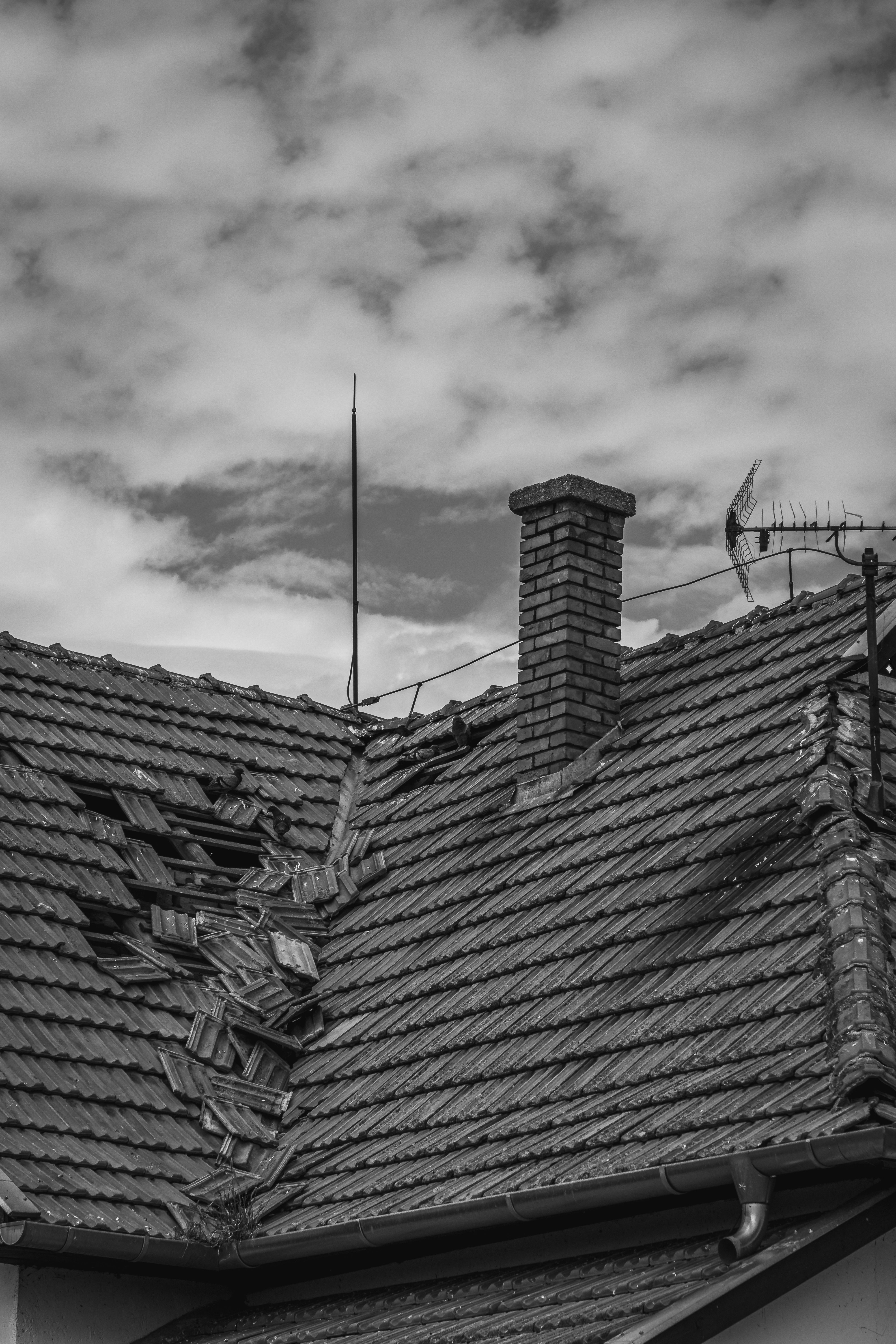 Image 14