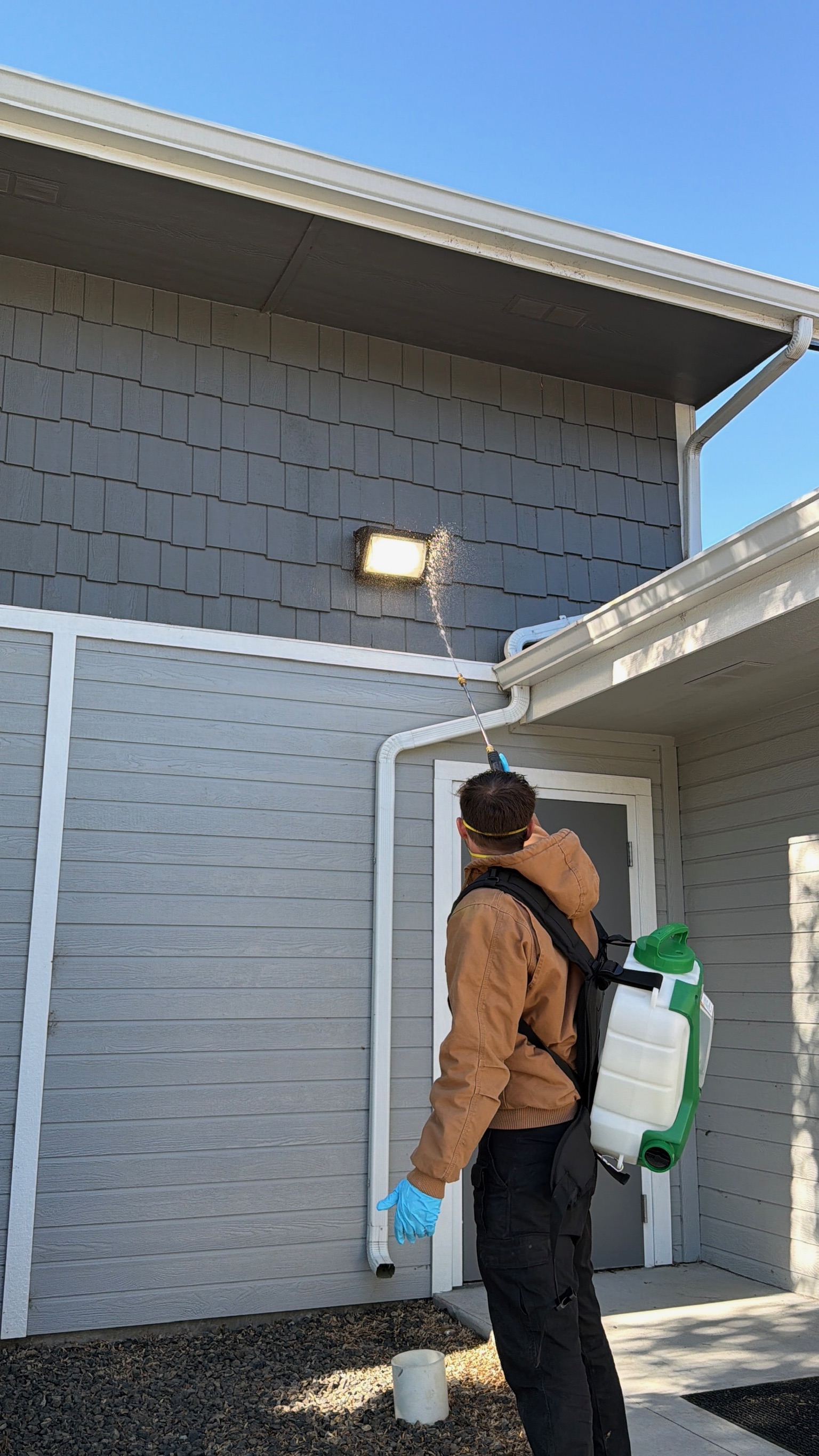 Residential Pest Control