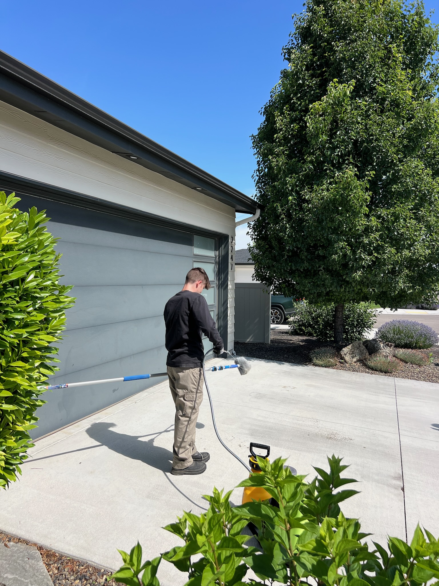 General Pest Control