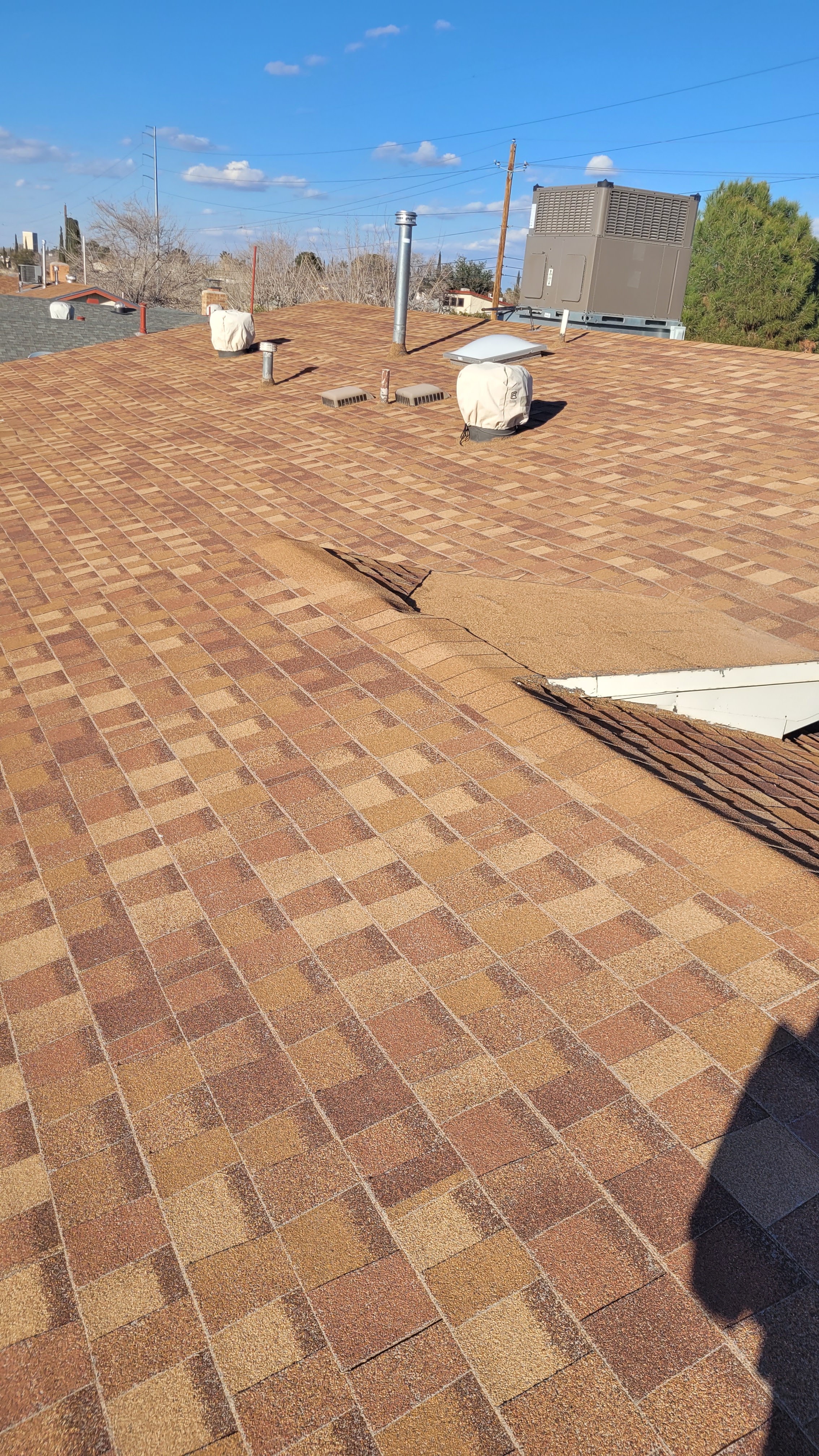 Roof Repair (Leaks & Damage)