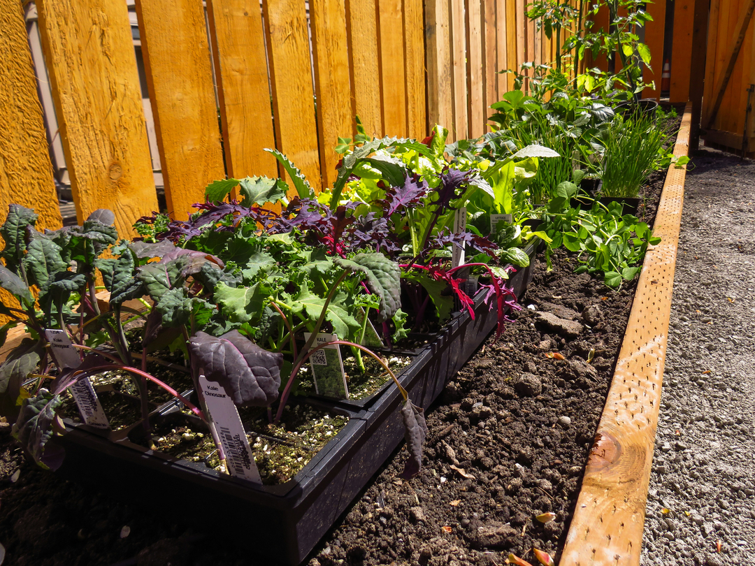 Eco-Friendly (Green) Landscaping