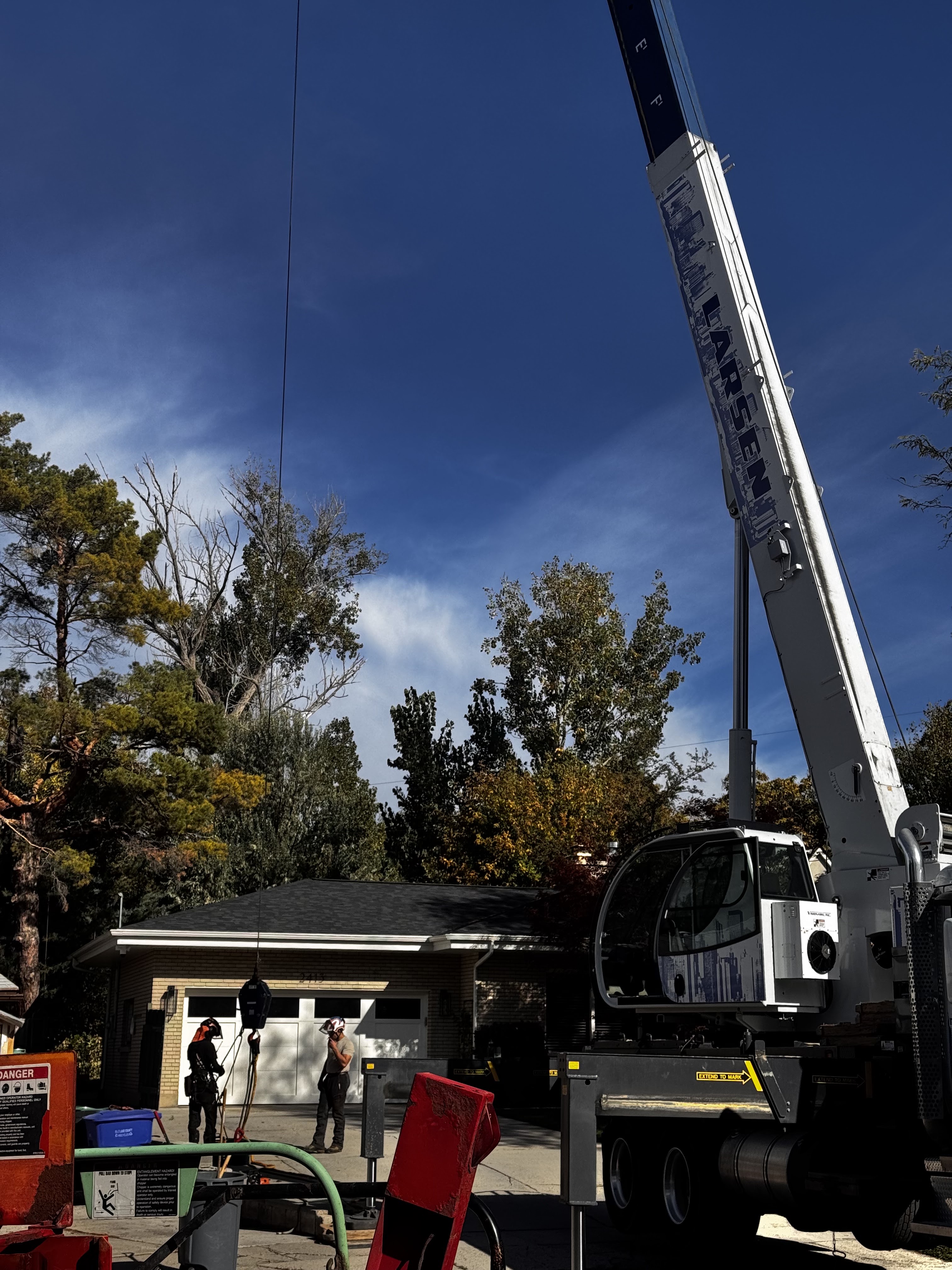 Scenic Root Tree Service project photo 10