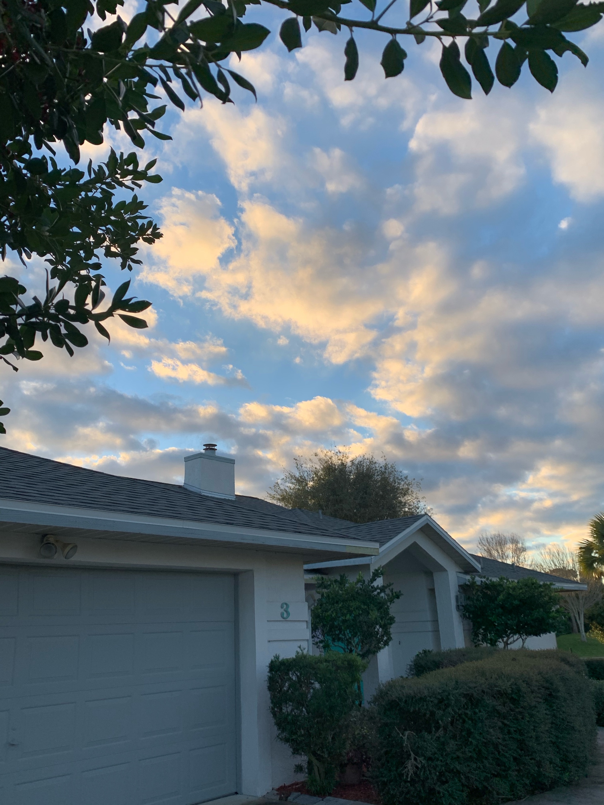 Image 15