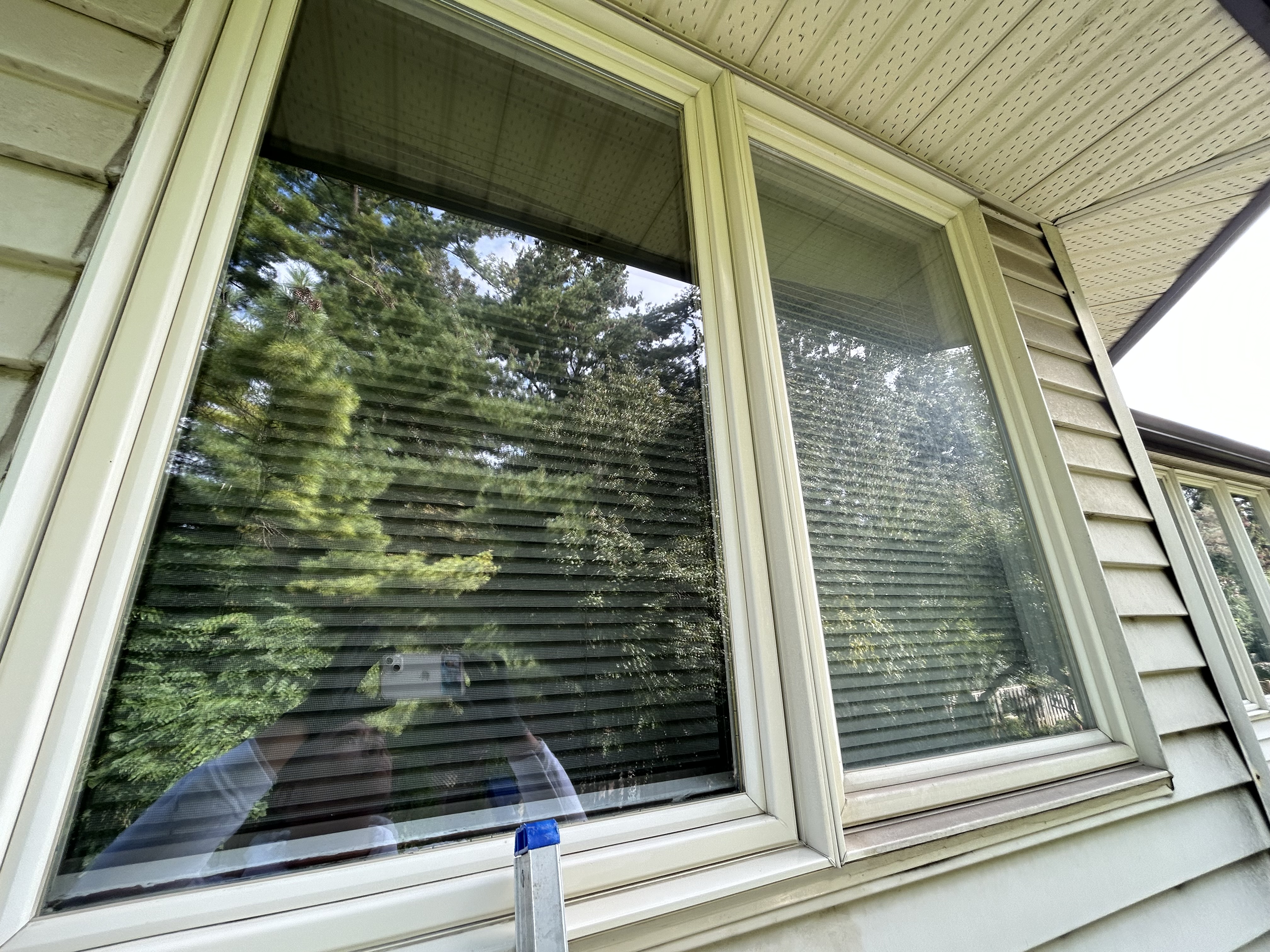 V & E Window Cleaning project photo