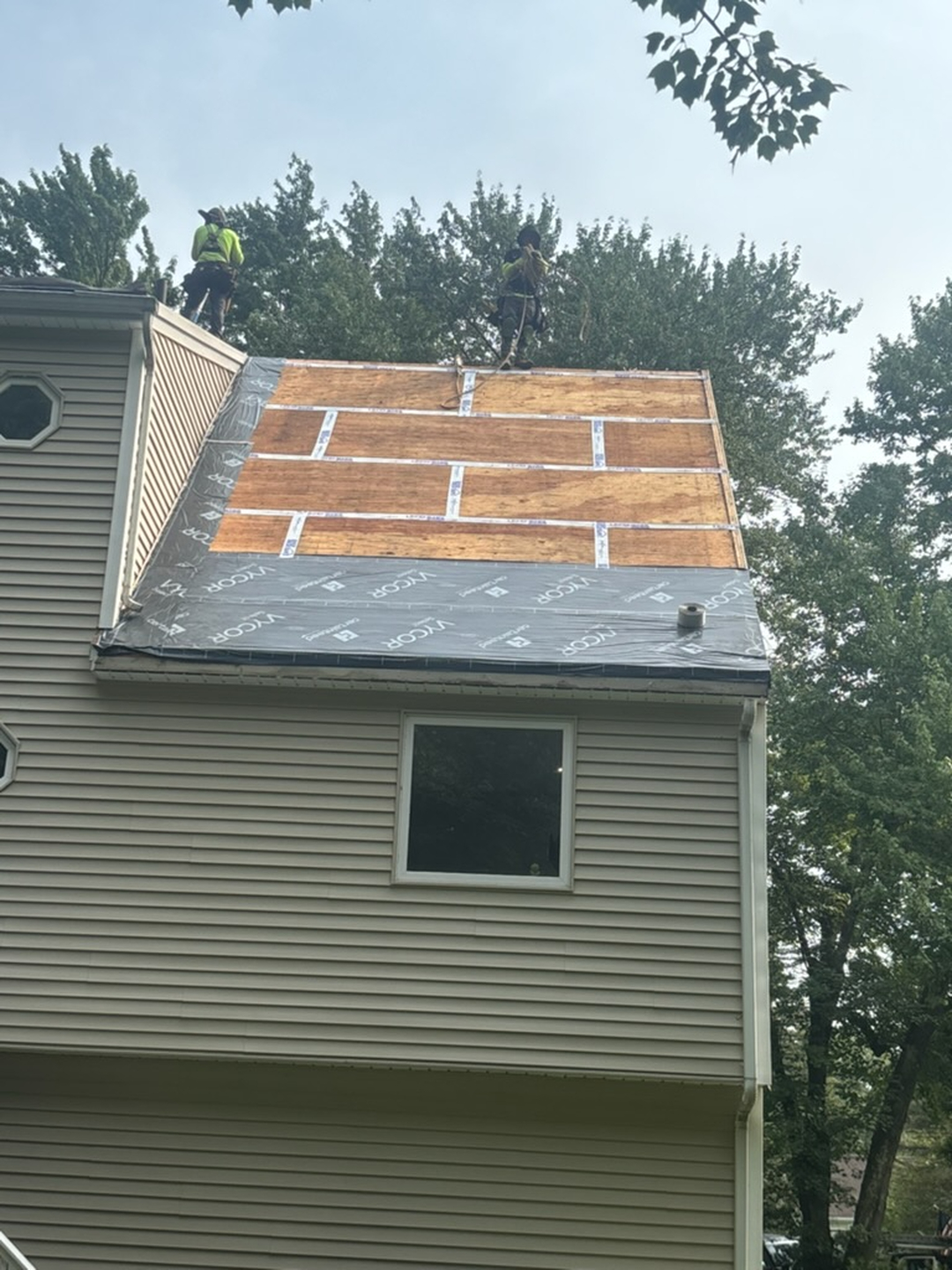 Image 13