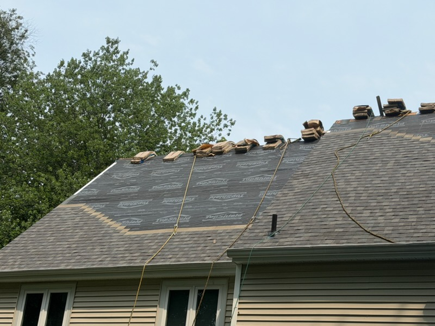 Image 12