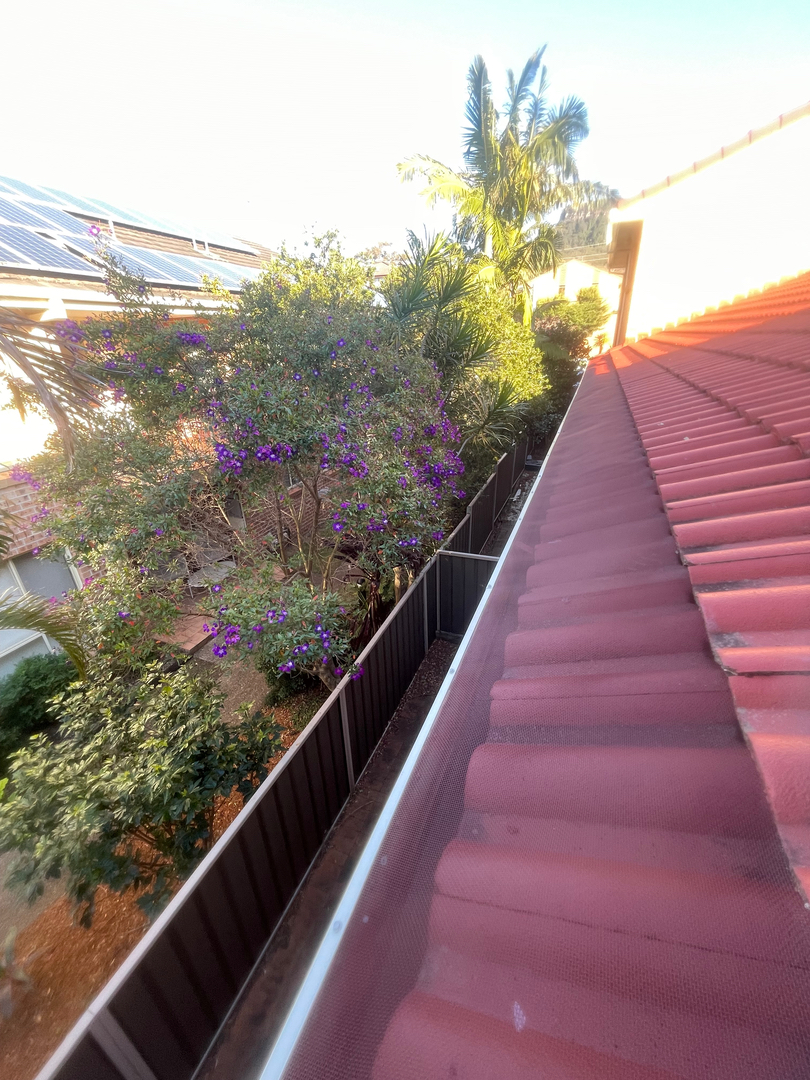 Image 10