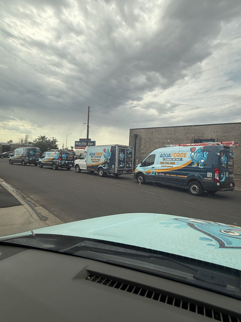 Image 13