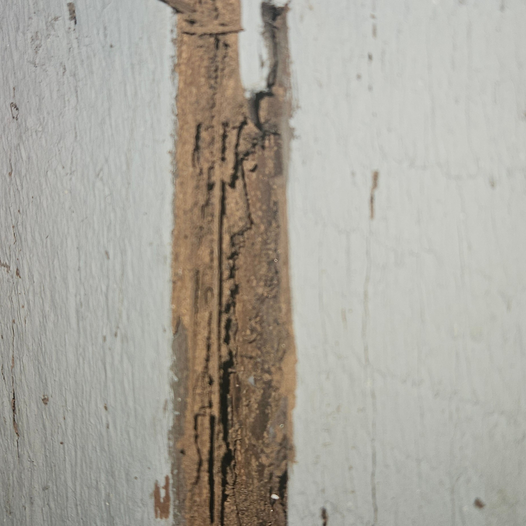 Image 13