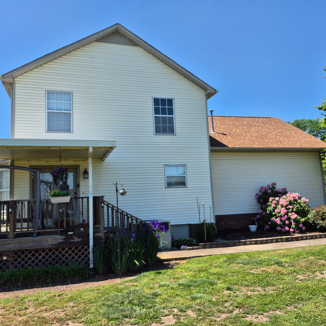 Image 12
