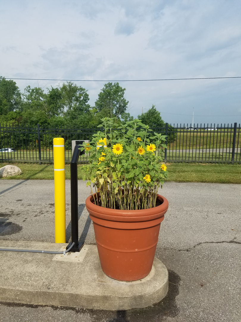 Image 10
