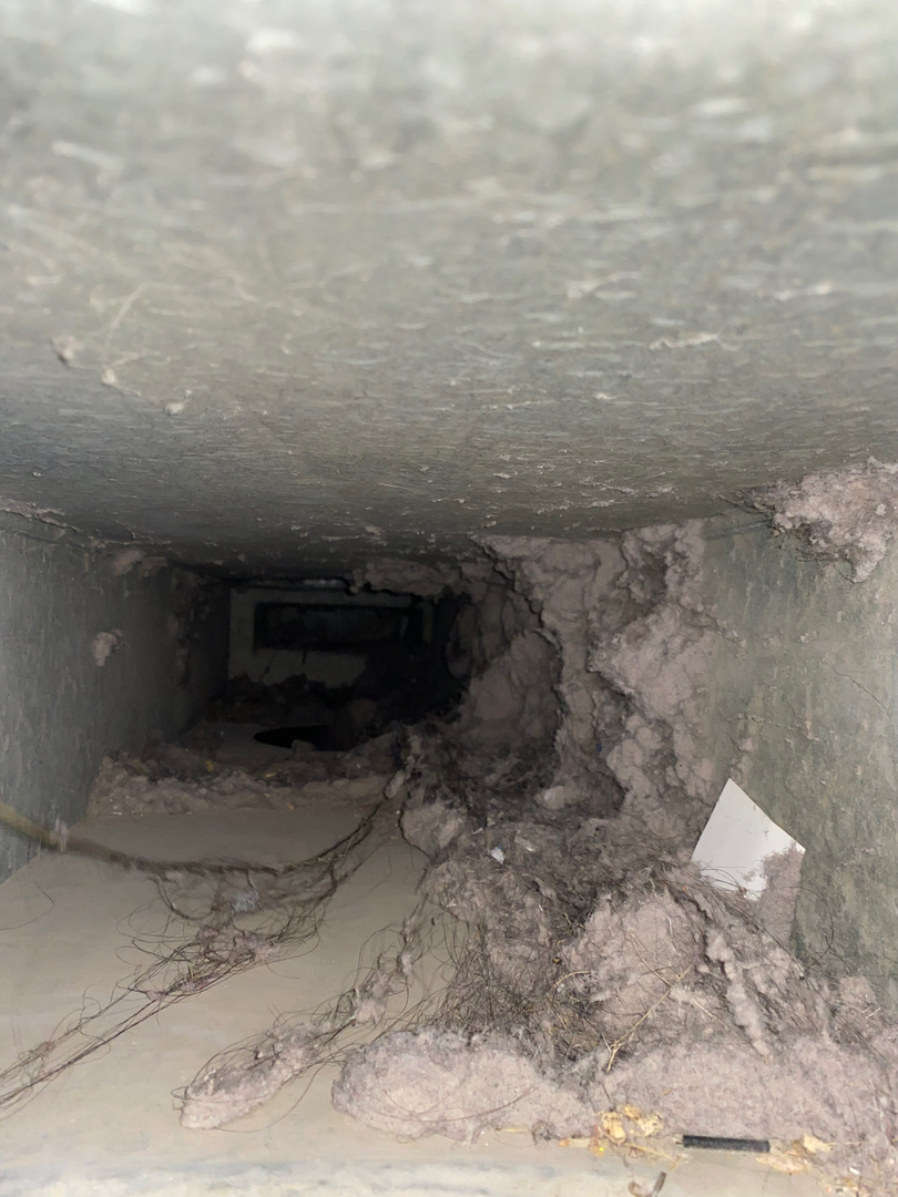 Clean Bathroom Exhaust Fans
