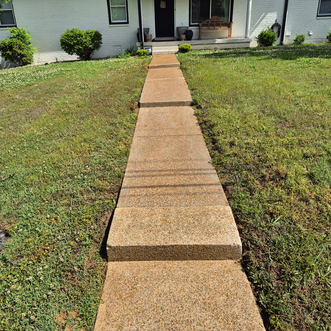 Image 15