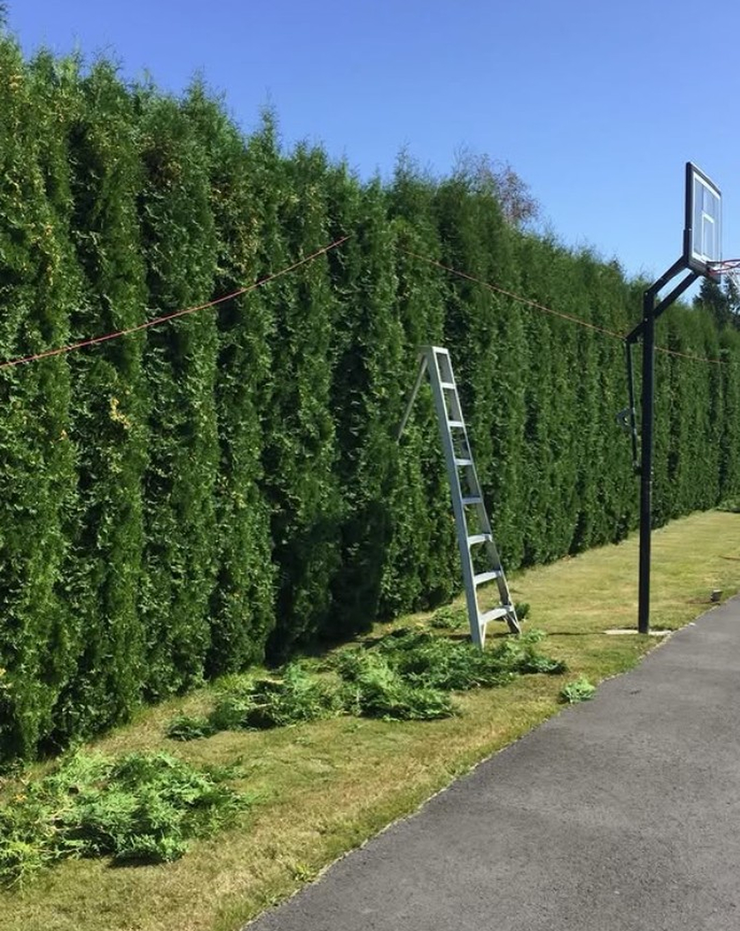 Landscaping project photo