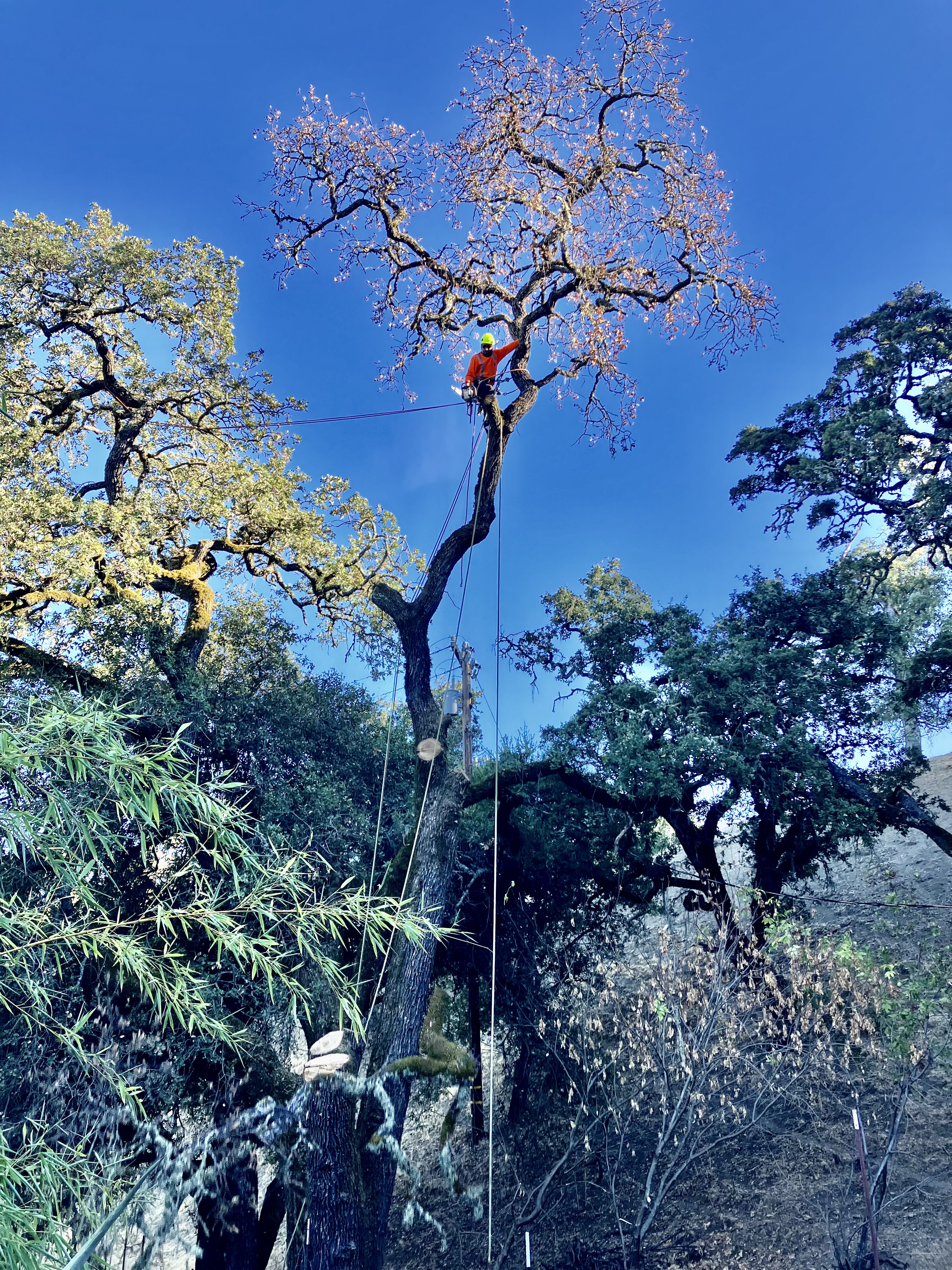 Image 10