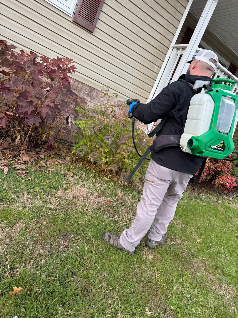 Residential and Commercial Pest Control