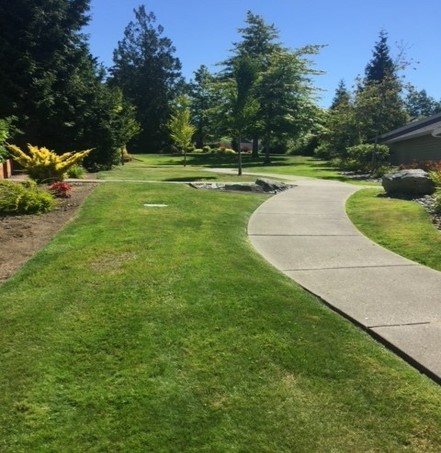 Landscaping project photo