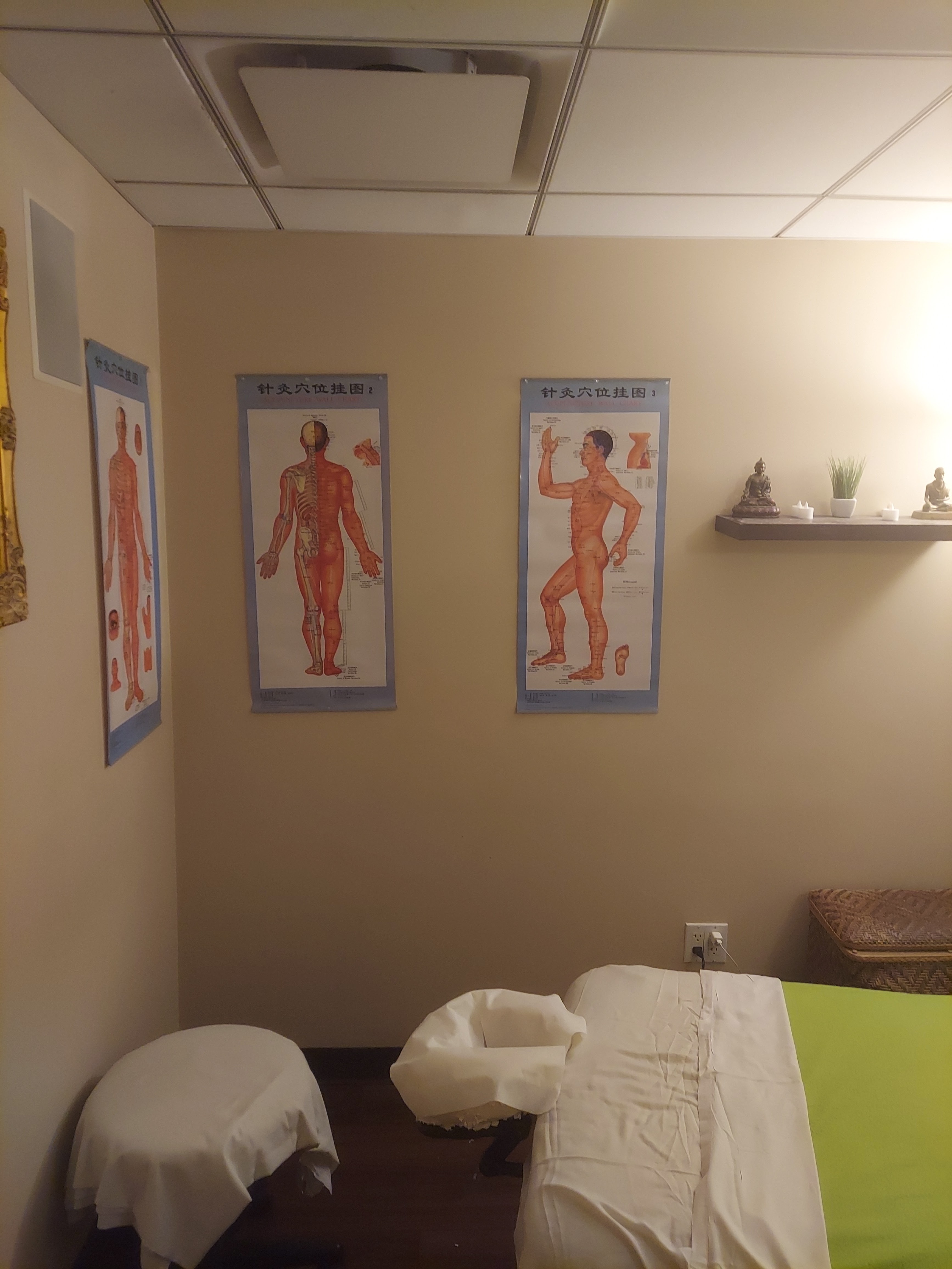 Acupuncture for Stress Relief in NYC