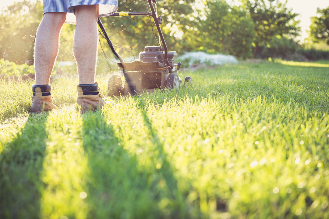 Landscape Maintenance