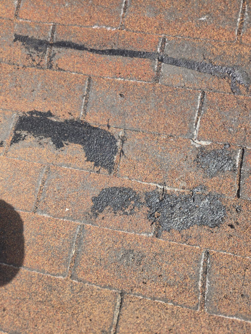 Image 15