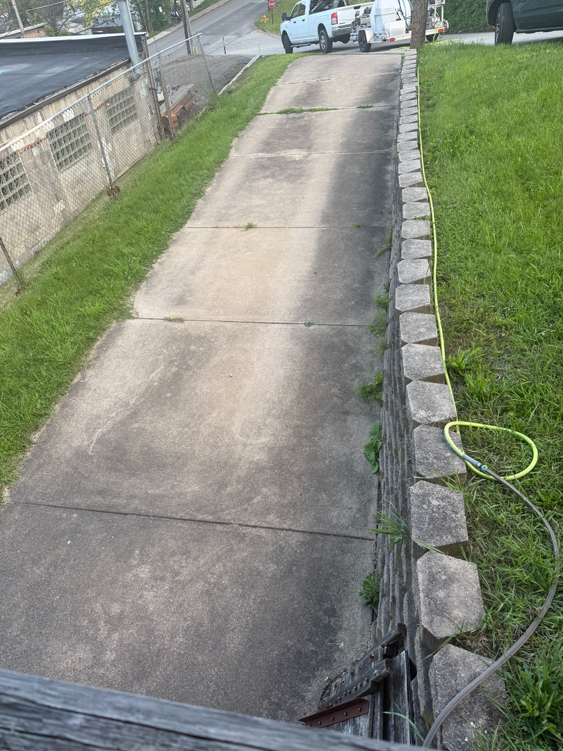 Image 15