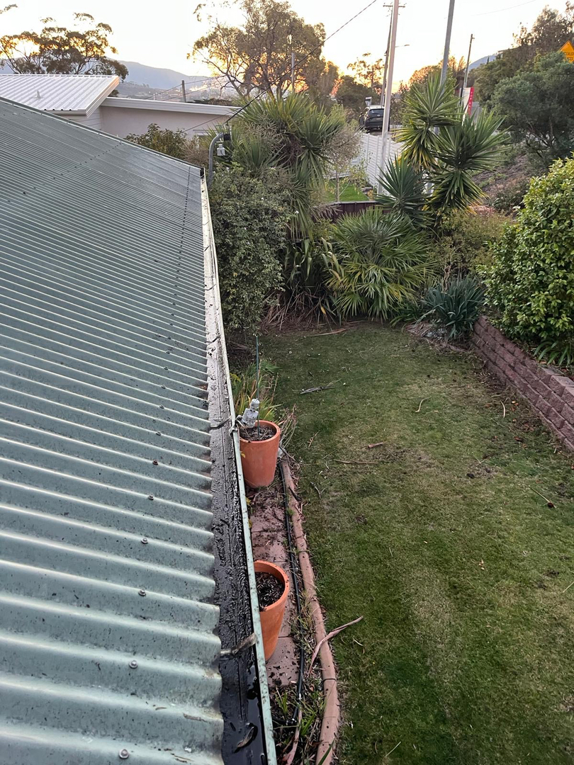 Image 14