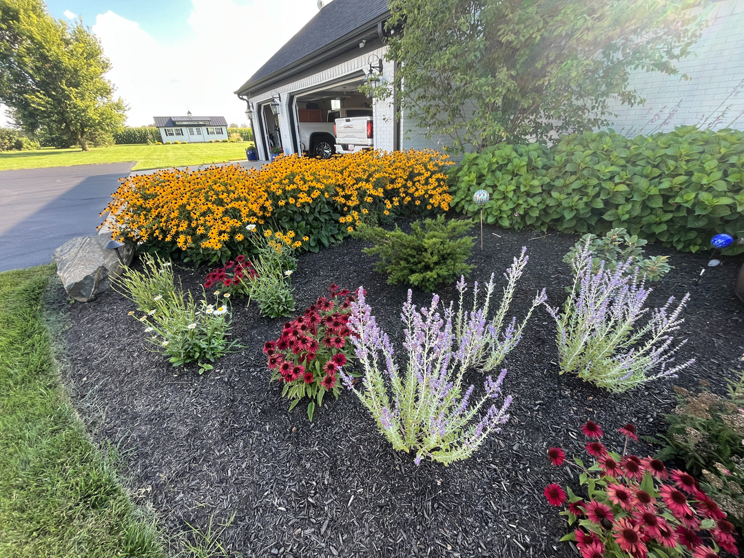 Image 16