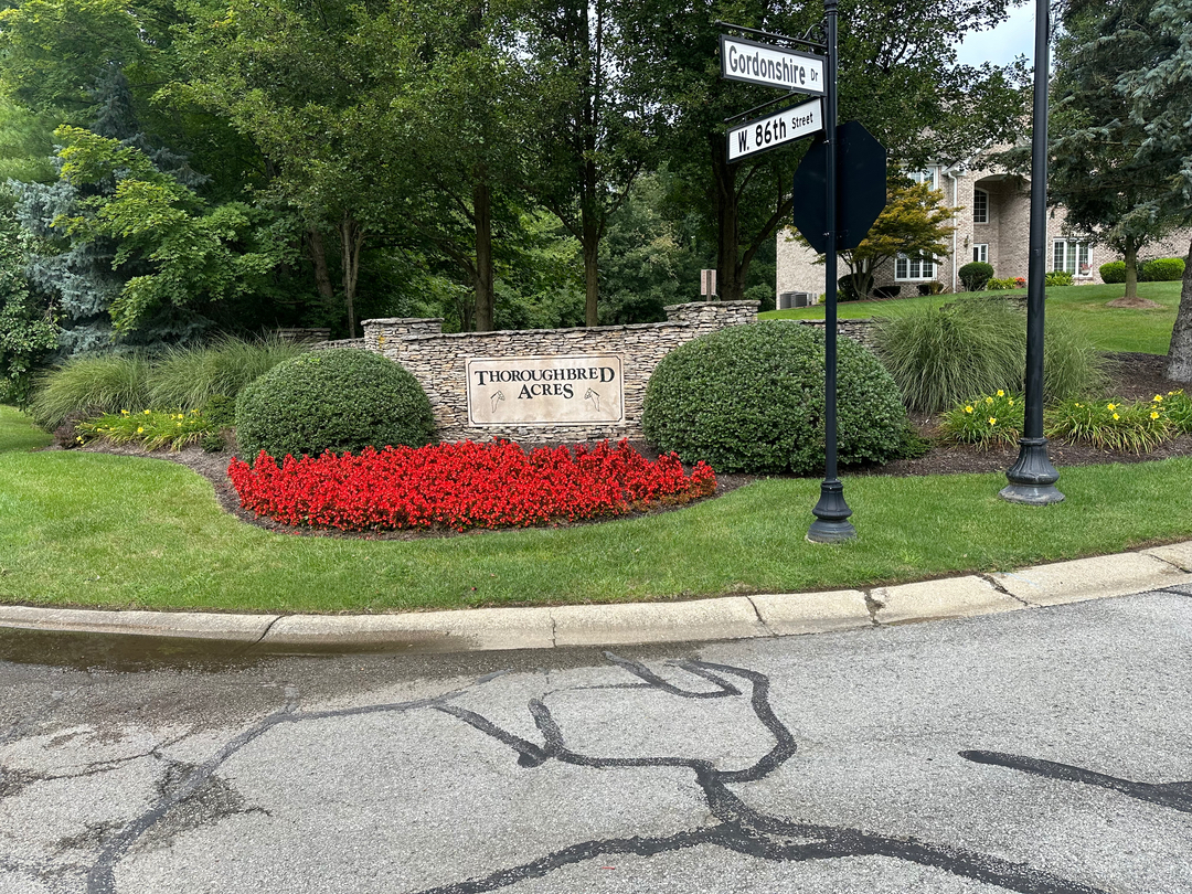 Image 15