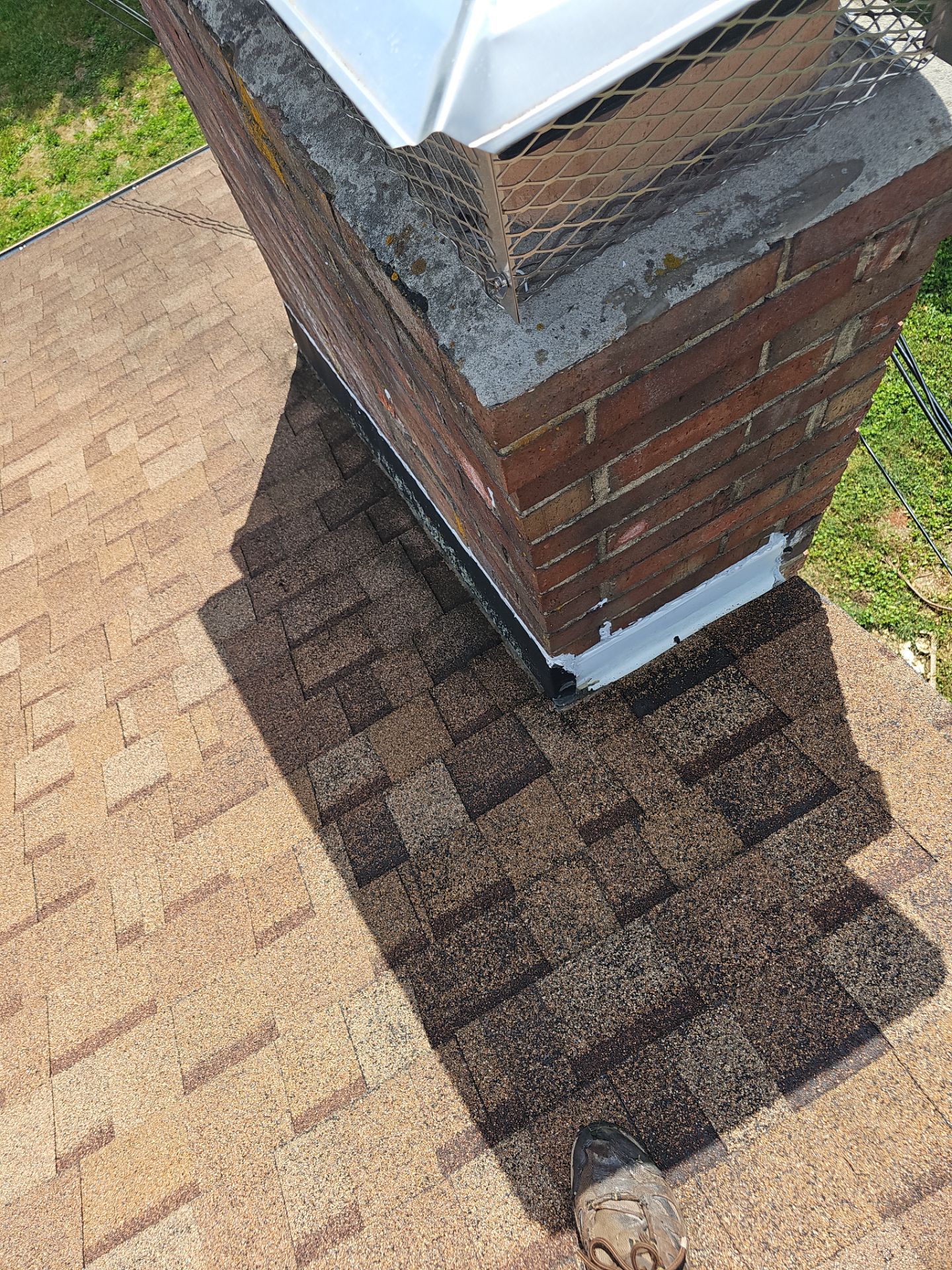 Image 11