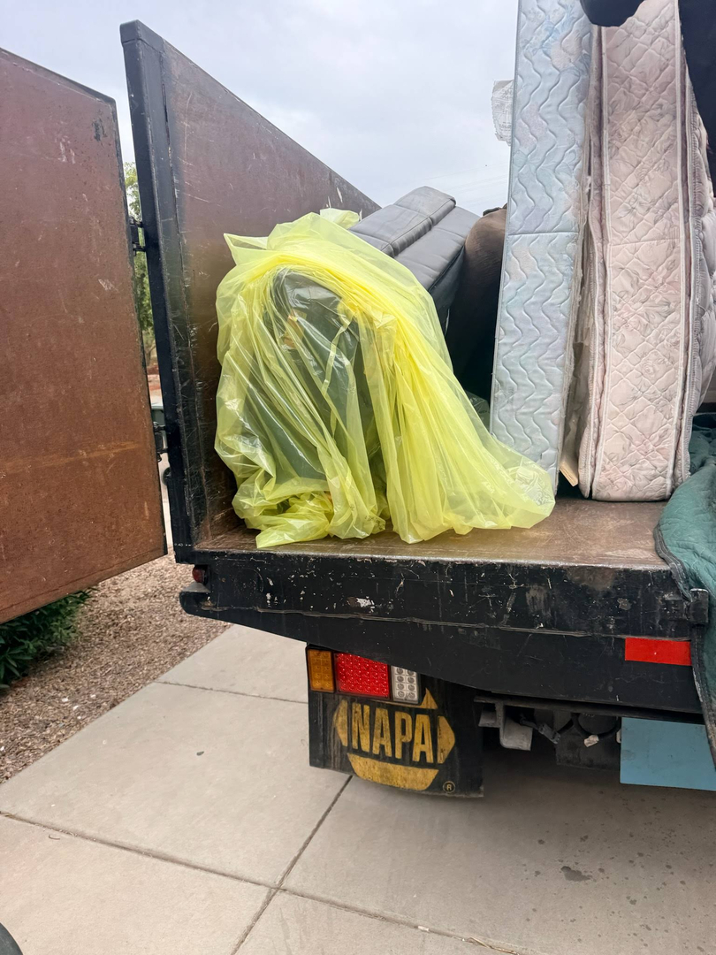Image 12