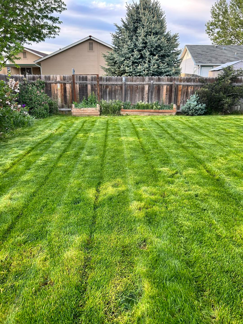 Image 15