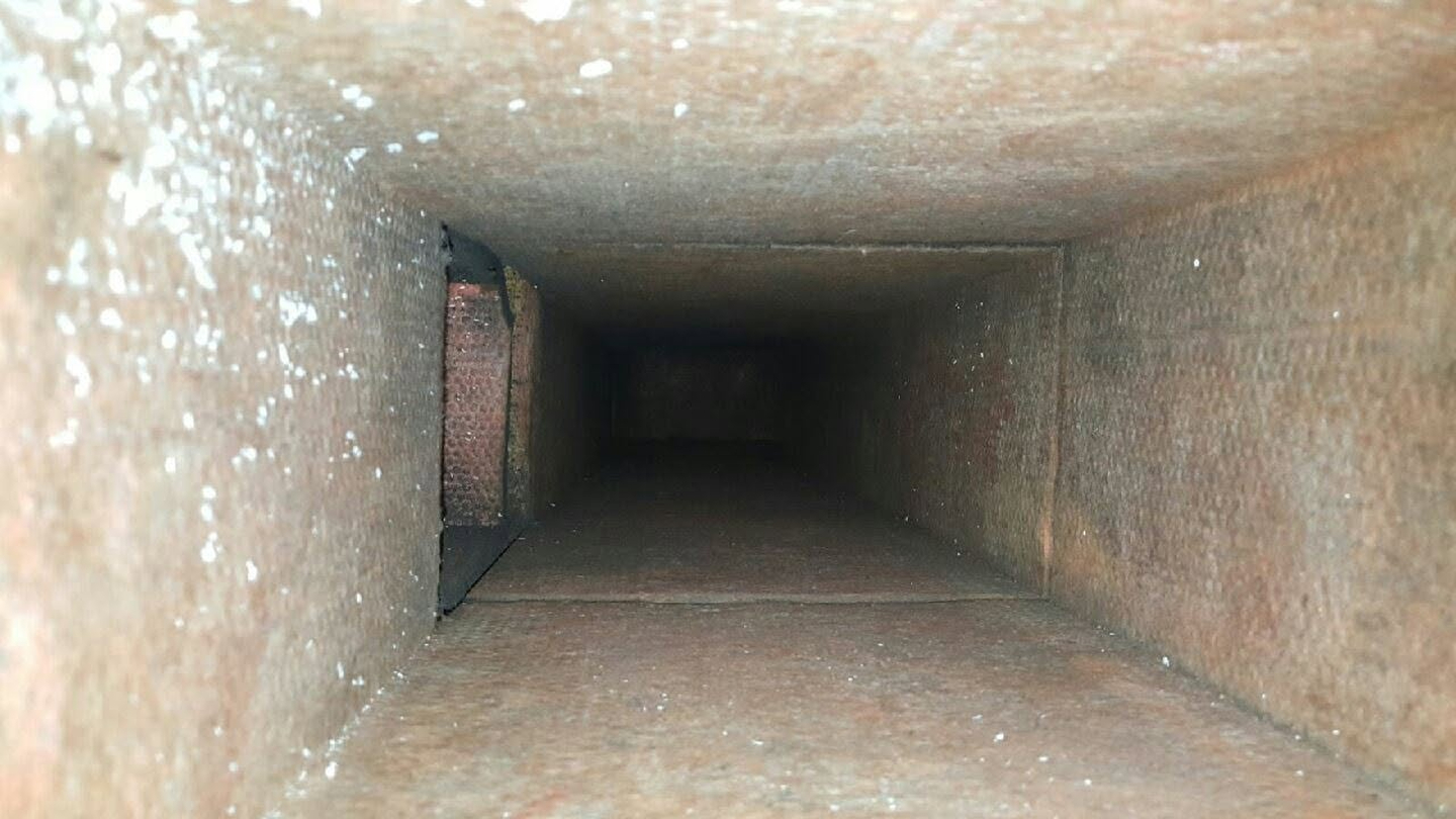 Image 13