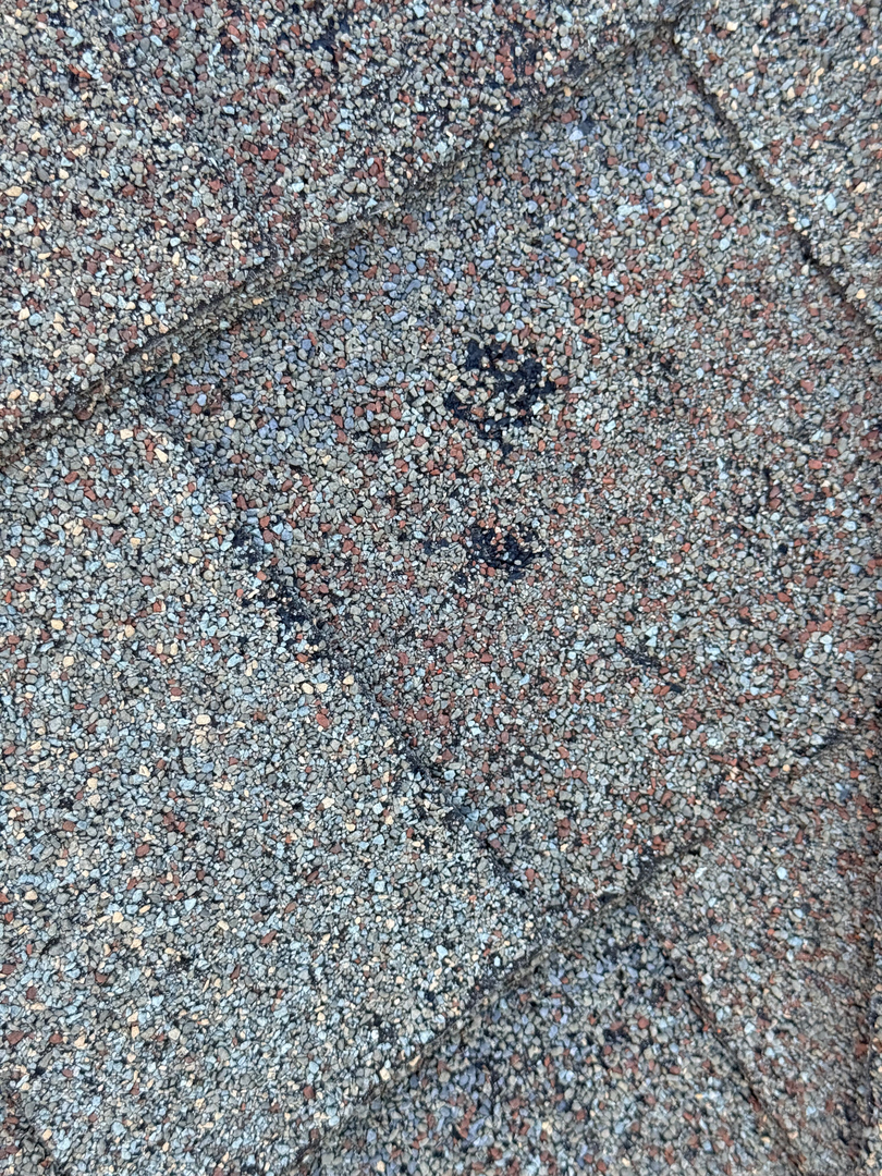 Image 16