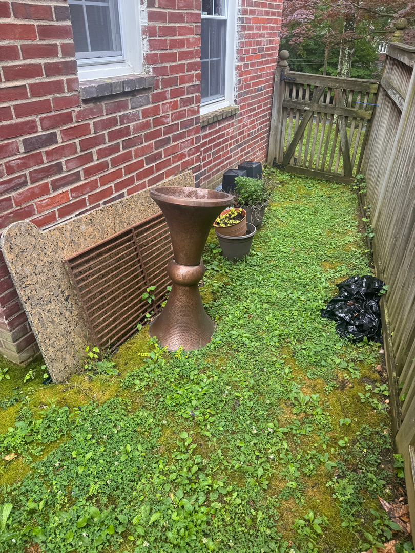 Image 13