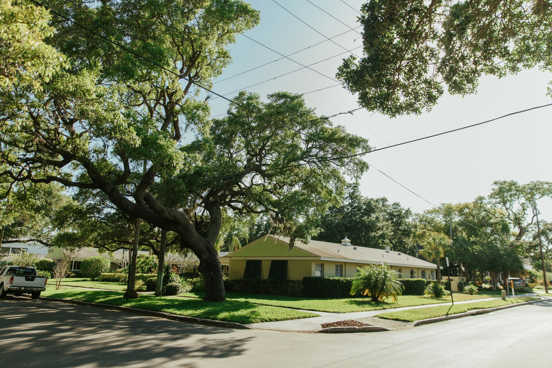 Image 11