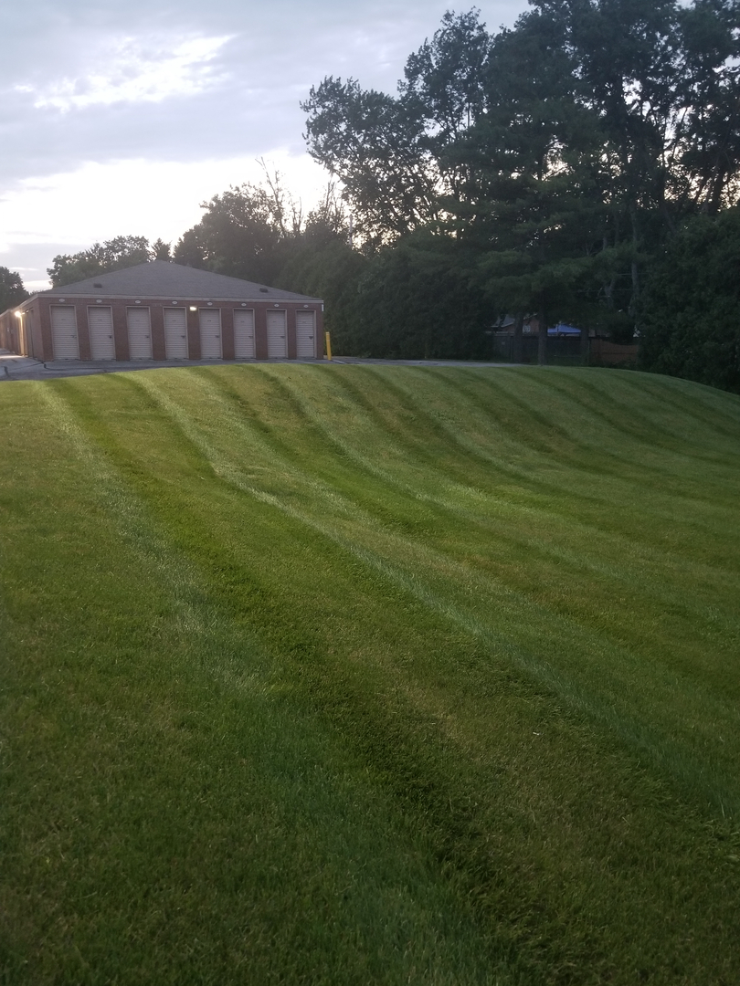Image 14