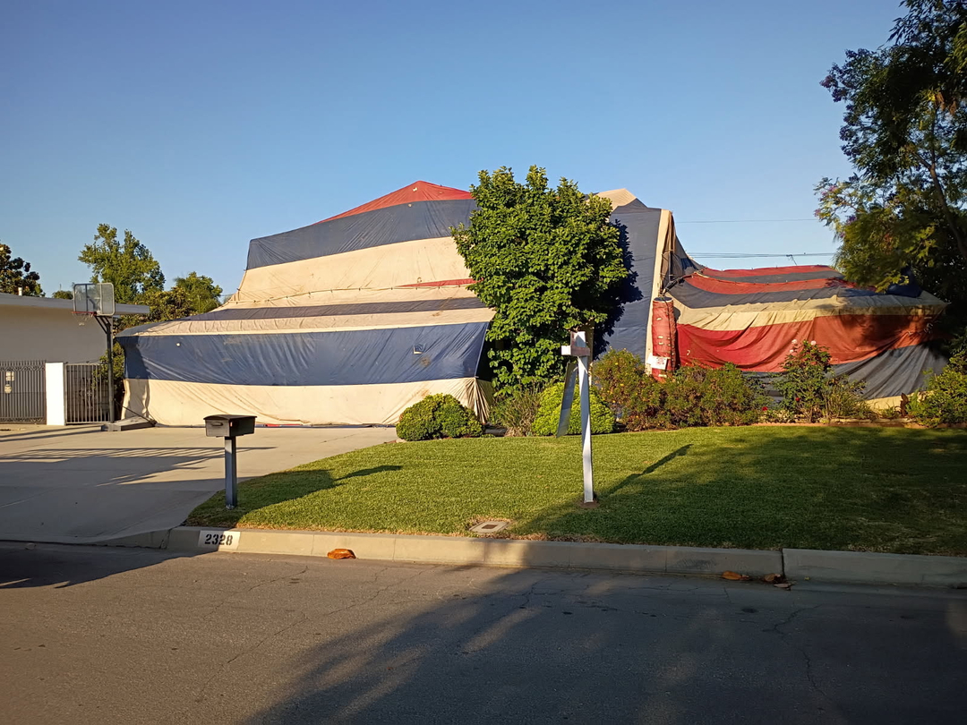 Image 8
